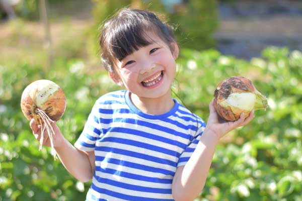 t*pさんによる野菜写真